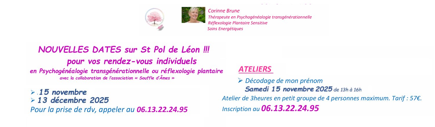 Bannière de l'atelier de Corine Brune à Saint-Pol-de-Léon jusqu'au 15 novembre 2015